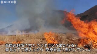 春告げる草原の炎　島根・三瓶山で火入れ