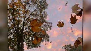 Autumn Sunset, October 23, 2025