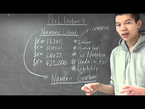 Perl Lecture 4*