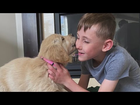 Boy Who Lost Leg Gets Puppy Born Without A Paw