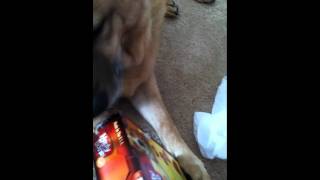 IMG_2780.MOV