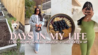 RESET Post-Travel 🧖‍♀️🌷💭 starting my DREAM cut flower garden in zone 8b & major life catch up
