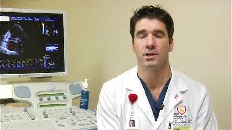 How Do Heart Rate Monitors Work?