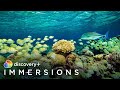 Secret islands of the pacific slow tv  discovery immersions