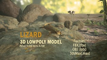 Lizard 3D Model Demo Video