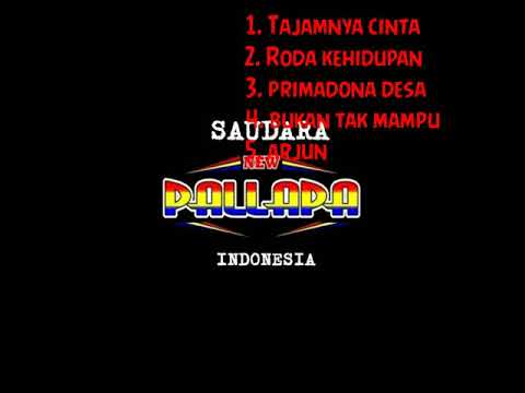 new pallapa terbaru 2021 yang enak di dengar mp3