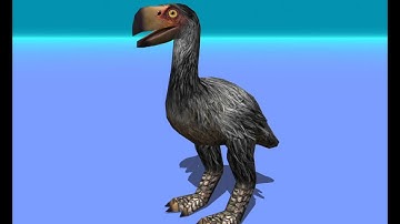 Gastornis (sometimes known as Diatryma) Animated Dinosaur / Unity Asset Store