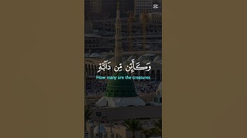 #القرآن_الكريم #المصحف #تلاوات #راحة_نفسية #صلوا_على_النبي #لايك