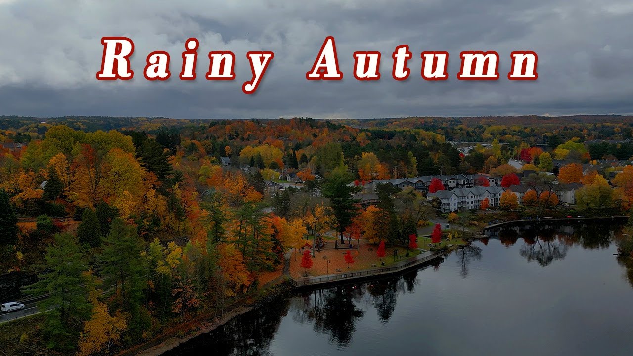 Peaceful Rainy Autumn Escape to BraceBridge | Peak Fall Foliage Muskoka Canada Travel 