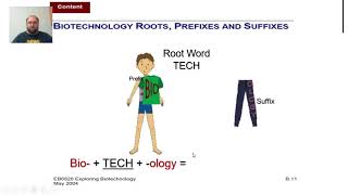 Roots, Prefixes, Suffixes