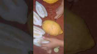 BIGG LEMON | big fruit | OMG | #shorts #lemon #cookcookgo #short