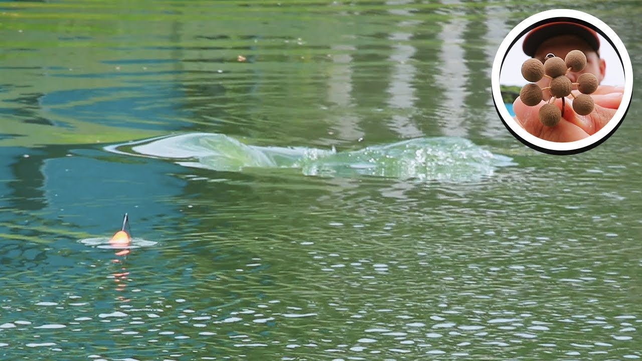 APRENDA TUDO SOBRE PESCA DE ANTENINHA!