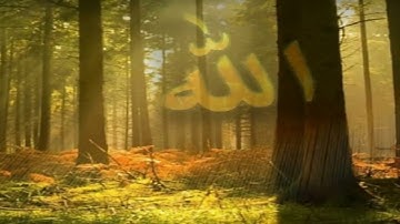 Ibrahim Jibreen Surah Ankabut ابراهيم الجبرين سورة العنكبوت