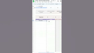 Monthly Budget Planner Template - Income Expenses Bills Savings Debt Tracker #spreadsheet #budgeting