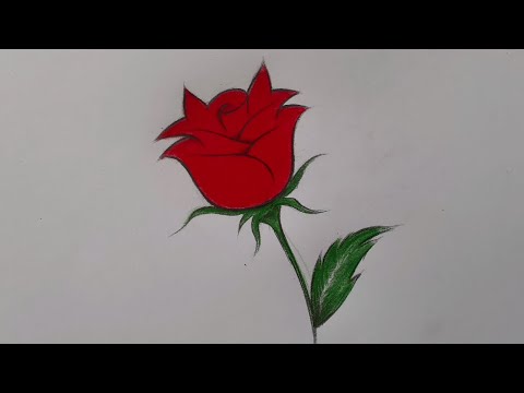 كيف أرسم وردة بسيطة وتلوينها