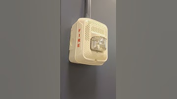 System Sensor L Series SPSWL Speaker Strobe On A Blue Wall At Reeves Middle School In Olympia, WA