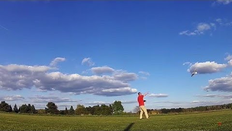 DLG Glider Alula by Dream-Flight