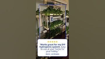 Fresh, homegrown, and monitored to perfection! 🌿