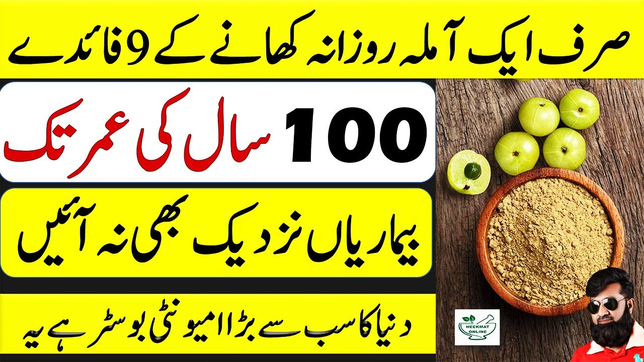 Daily 1 Amla Khane Ke Fayde Eat Amla Powder Every Day Amla Daily 1 Amla Khane Ke Fayde Eat Amla Powder Every Day Amla