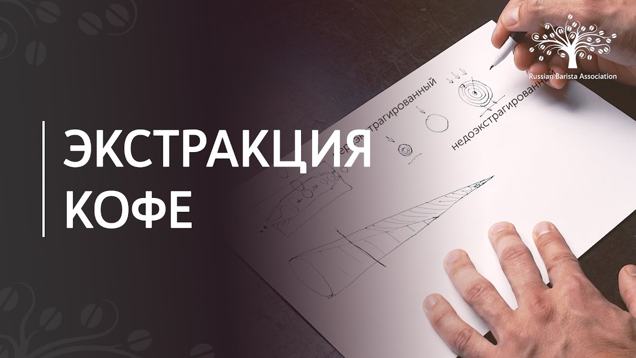 Как улучшить вкус кофе? Разбираем понятие экстракции. эспрессо как пить