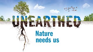 How can we regenerate nature successfully?
