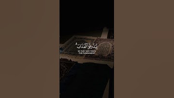 إن الذي كفروا بآياتنا سوف نصليهم نارا | أحمد العجمي .