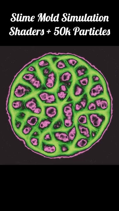 Slime Mold Simulation (part 2) - YouTube