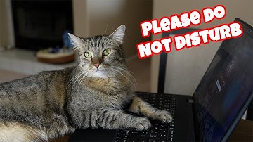 How to say "Please do not disturb" in Chinese