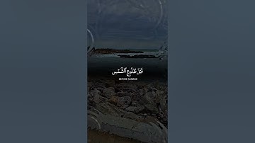 تلاوة عطرة لآيات من كتاب الله #القرآن_الكريم #القرآن #المصحف #الله #foryou #اكسبلور #viral #fyp