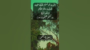 سورة النحل الآية ٣١ الى ٣٣ بصوت الشيخ ماهر المعيقلي #القرآن  #القران_الكريم_في_الصباح