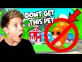 Do NOT Get This Adopt Me Pet!!