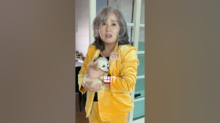 강아지 밥 안 챙겨 줬더니… 엄마가 하는 말이ㄷㄷ… #정선호 #shorts #dogs