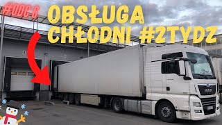 KIEROWCA CIĘŻARÓWKI | Obsługa agregatu | CHŁODNIA #2 (nowa firma) 4K