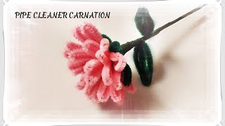 Pretty in Pink: DIY Pipe Cleaner Carnation Flowers Tutorial!