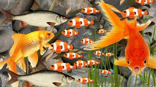 Fish Farming3 Fish farming game fish farming uk part-1#fish_farming_bangladesh #fish_farming_aquram3 screenshot 5