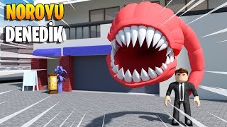 NoroK1 Çıkmadan Önce Noro Alıp Denedik!  | RoGhoul | Roblox Türkçe