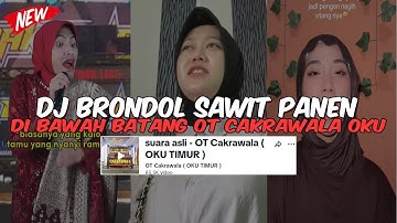 DJ BRONDOL SAWIT PANEN DI BAWAH BATANG OT CAKRAWALA OKU TIMUR REMIX PALEMBANG YANG KALIAN CARI