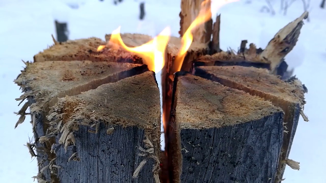Правила разведения костра