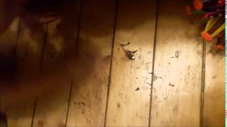 Убрать разлившийся кофе за секунду / How to remove spilled coffee in a second