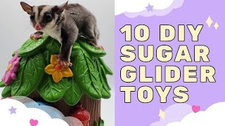 10 DIY Sugar Glider Toys (No Sew)