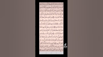 سورة القصص صفحه في اليوم تسعد يومك بإذن الله تعالى #قران#الابذكرالله_تطمئن_القلوب #qurankarim