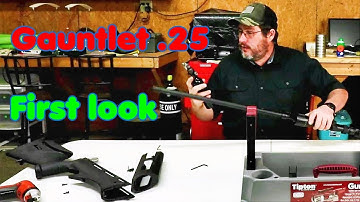 Umarex Gauntlet .25 - Things to watch out for? - Pelletonix