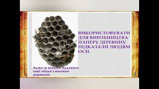 Дітям про папір,його властивості.Пошуково-дослідна діяльність з папером