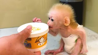 Dad takes care of baby Bibi with special food