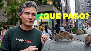 Rats are disappearing from New York