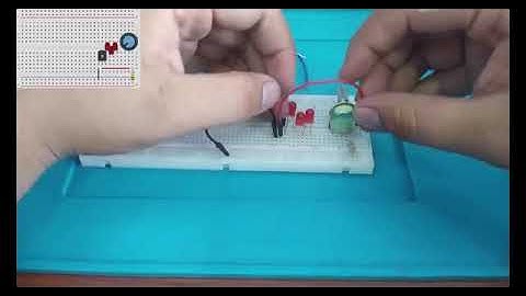 CIRCUITO DE LUCES RITMICAS