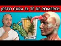 Que OCURRE si tomas TÉ DE ROMERO todos los DÍAS || ¡MIRA que SUCEDERÁ!