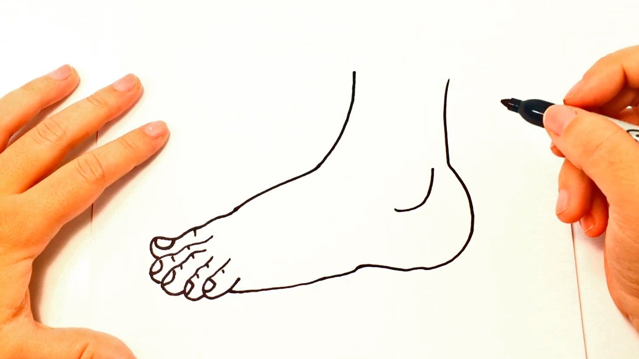 COLLABORATIVE VISUALIZING  THE HUMAN FOOT  by Alison Hu  Medium