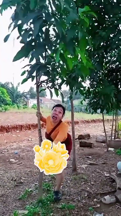 lagu mmangyana di bawakan oleh ceuromlh🤣🤣 #fyf #funny #funny #comedy #hiburanrakya #pidiolucu