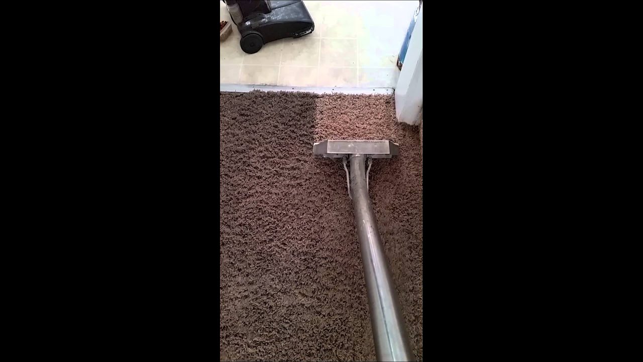 Best bet carpet cleaning in utah YouTube